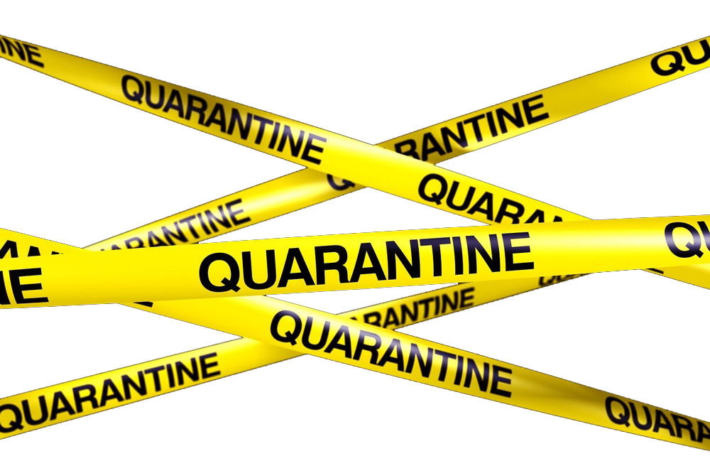 Quarantine Png HD Free Download