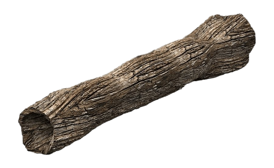 Tree Trunk Clipart Png HD Free Download