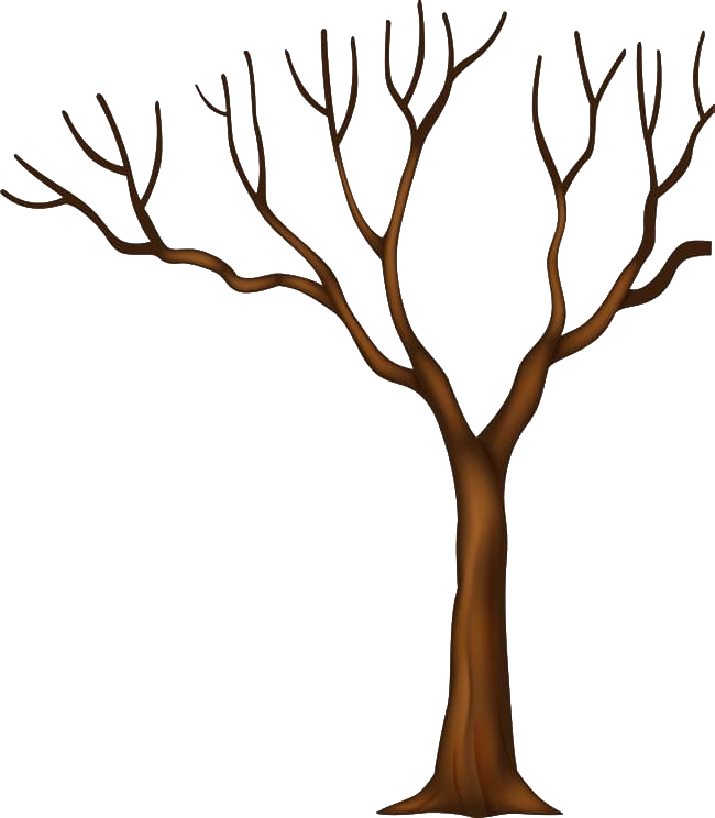 Tree Trunk Png HD Free Download