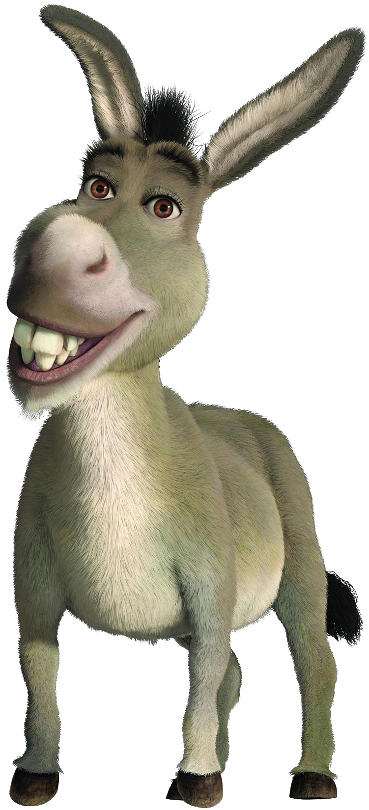 Funny Donkey Clipart Png HD Free Download