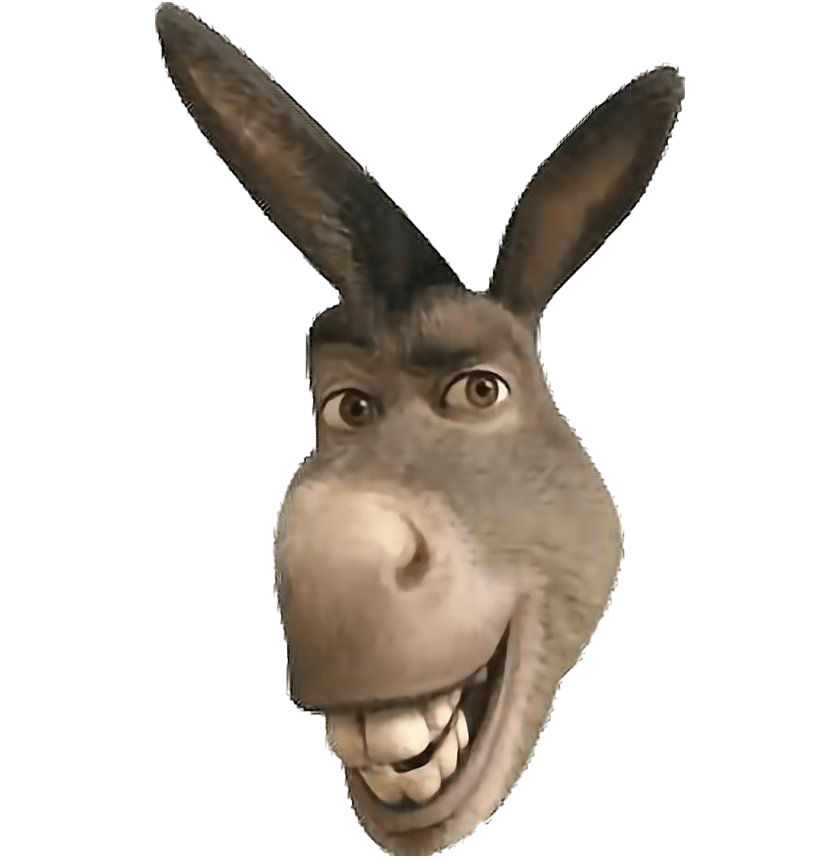 Funny Donkey Png HD Free Download