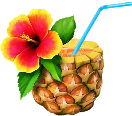 Celebrating Luau Transparent Png HD Free Download