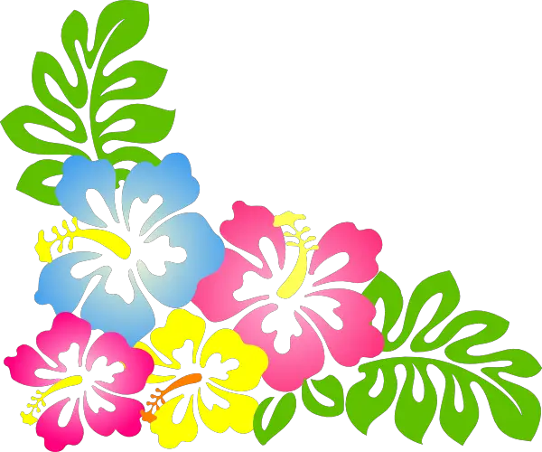 Flower Aloha Hawaiian Luau Png HD Free Download