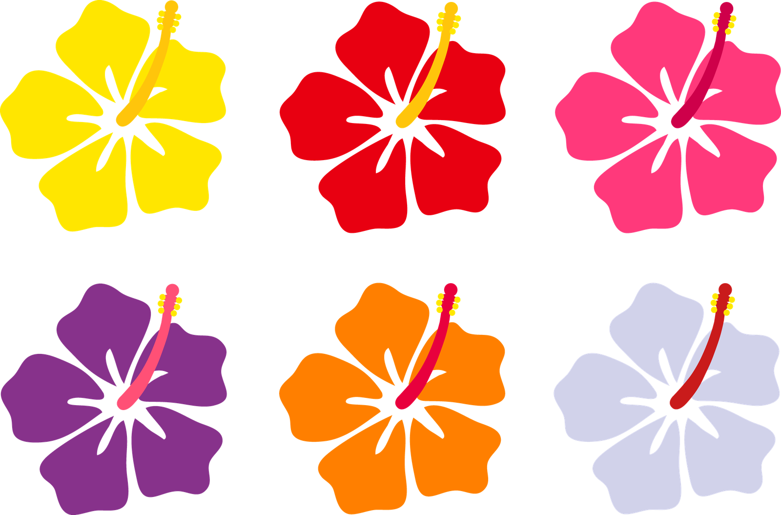 Flower Aloha Hawaiian Luau Transparent Png HD Free Download