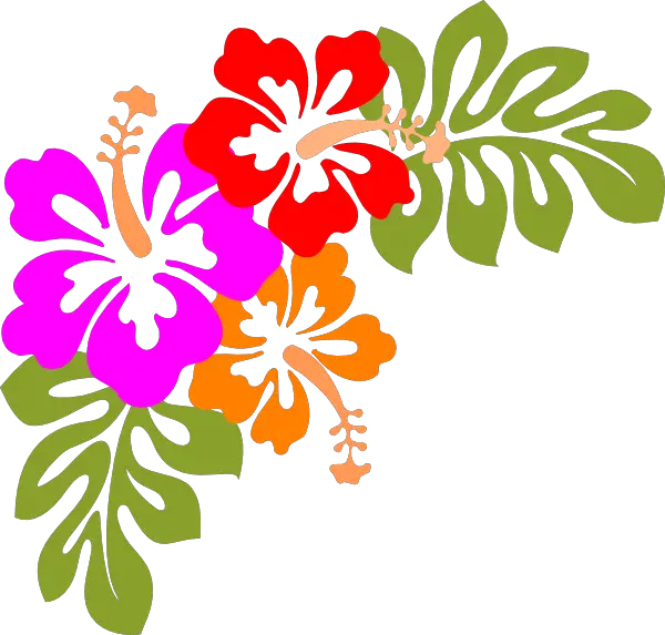 Photos Flower Aloha Hawaiian Luau Png HD Free Download