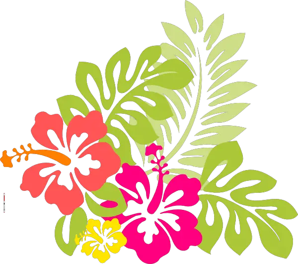 Flower Pic Aloha Hawaiian Luau Png HD Free Download