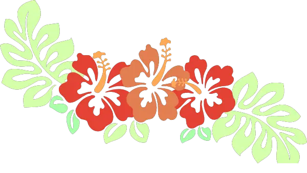 Flower Aloha Hawaiian Luau Png HD Free Download
