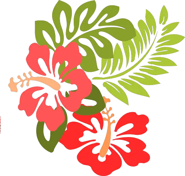 Flower Aloha Hawaiian Luau Png HD Free Download
