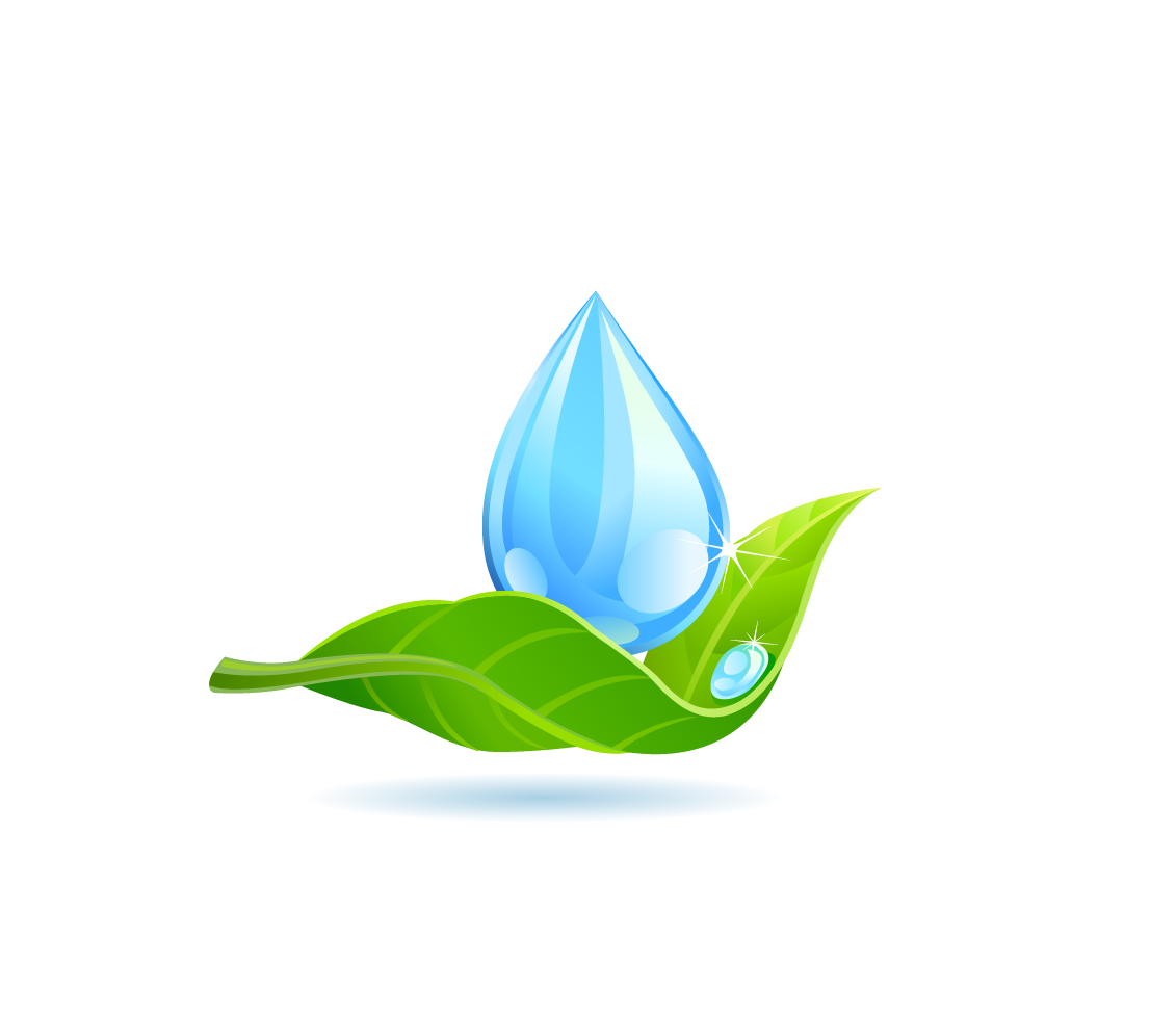 Water Drop Leaf Dew Png HD Free Download