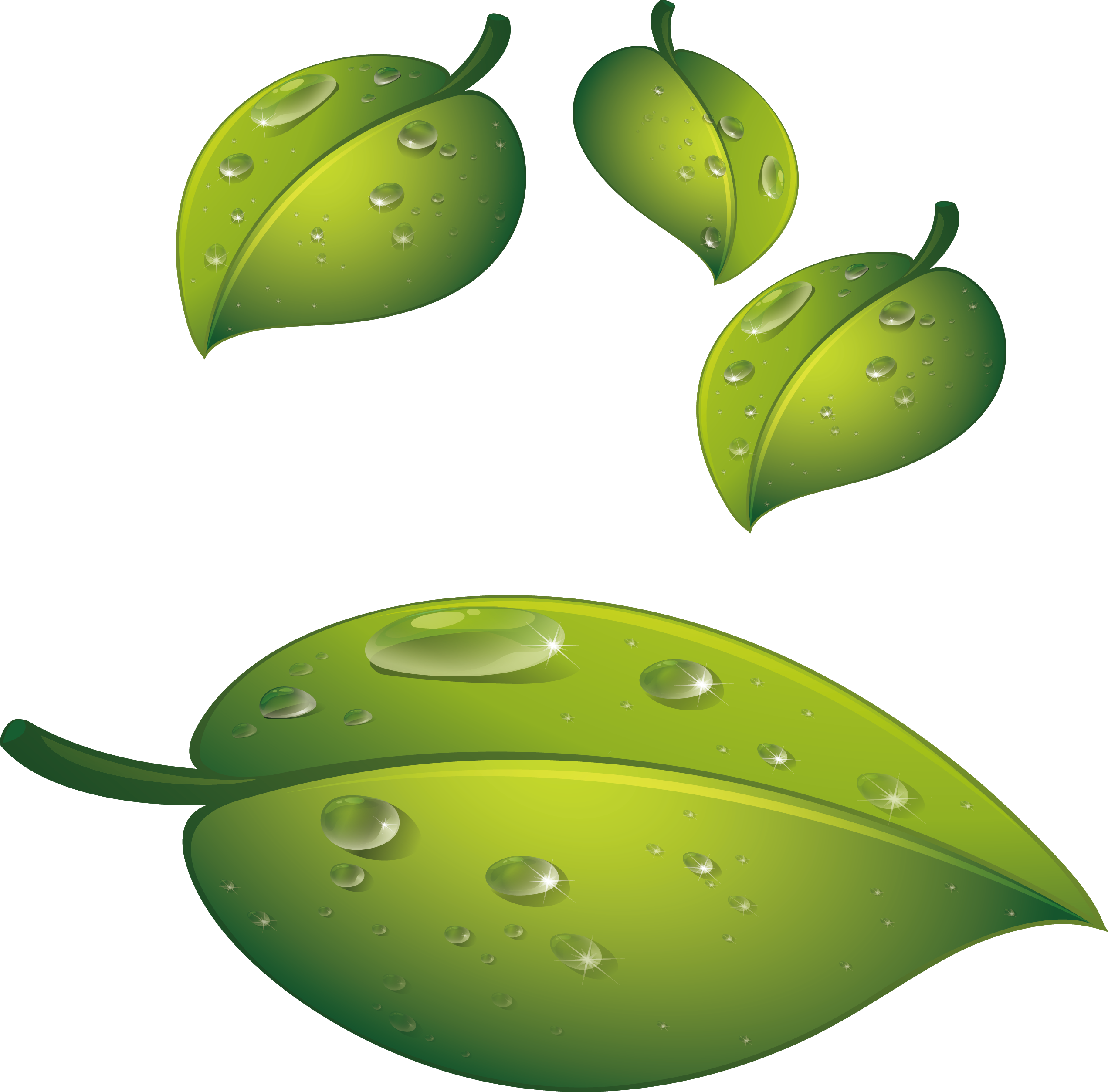 Water Drop Leaf Dew Transparent Png Hd Free Download