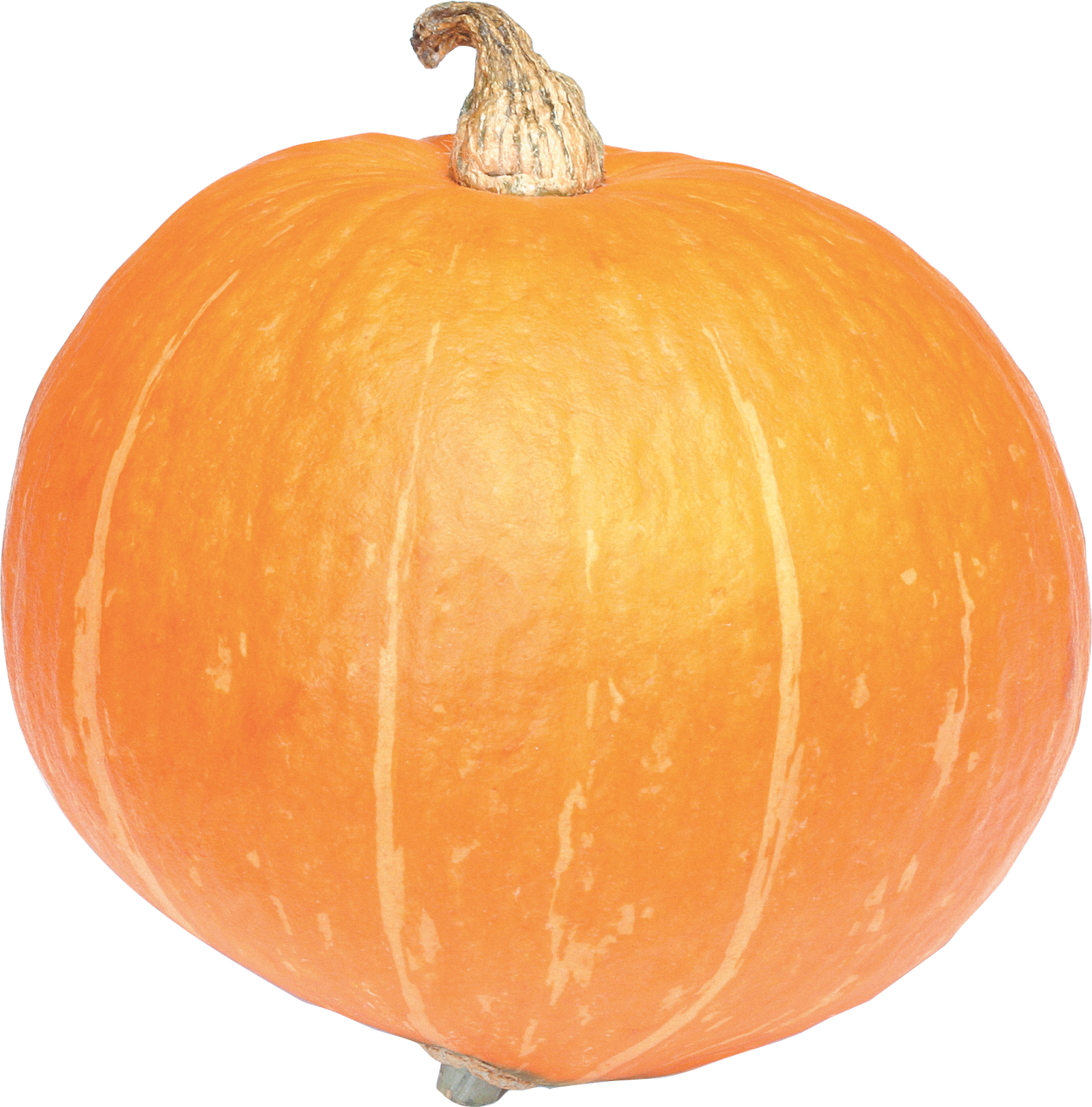 Jack-o-lantern Halloween Png HD Free Download
