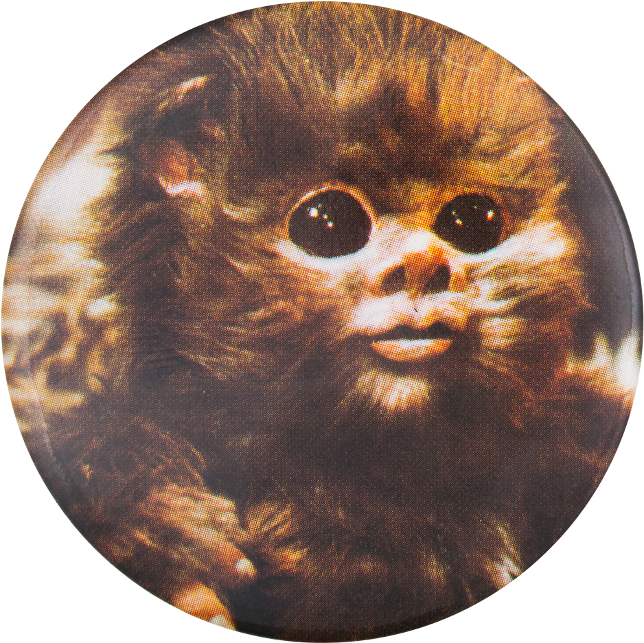 Ewok Png HD Free Download