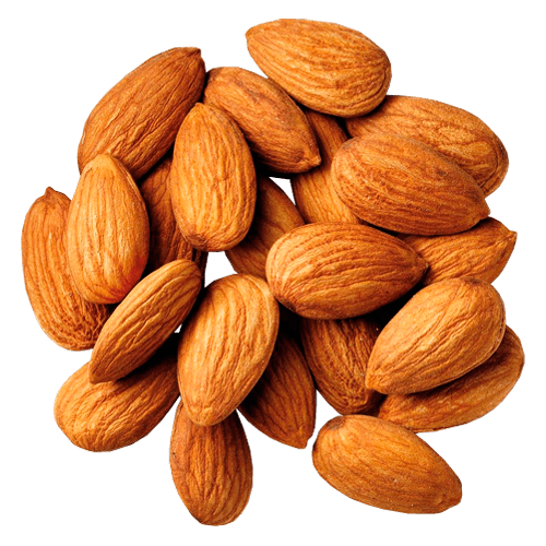 Picture Nut Almond Png HD Free Download