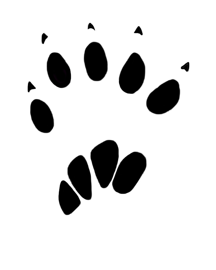 Footprints Animal Png HD Free Download