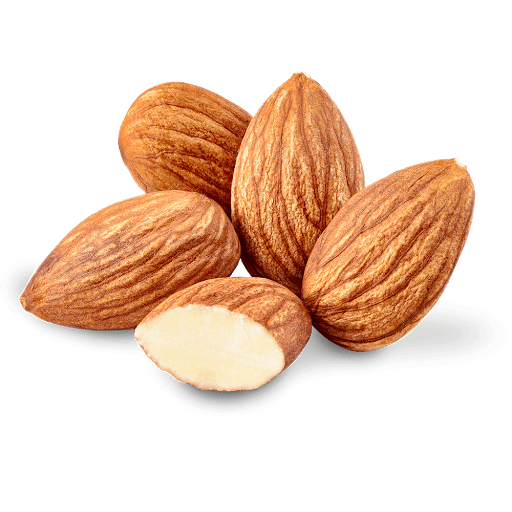 Nut Almond Png HD Free Download