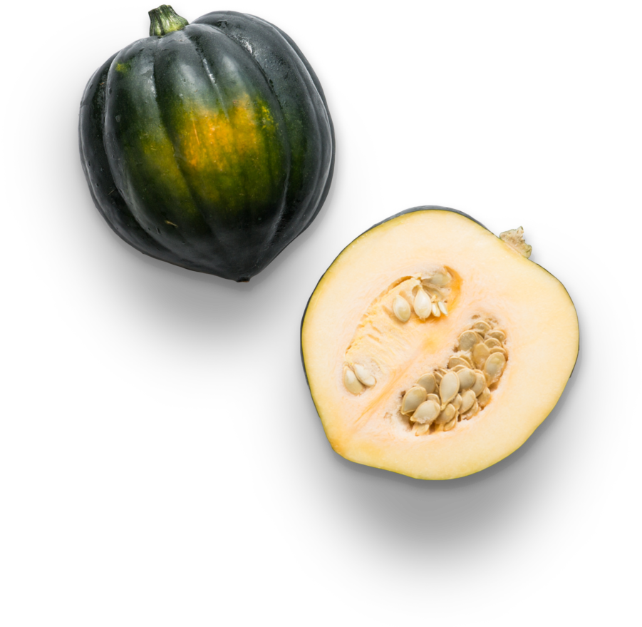 Squash Acorn Png HD Free Download