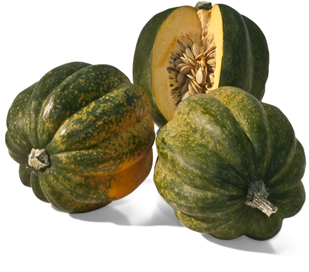 Squash Acorn Png HD Free Download