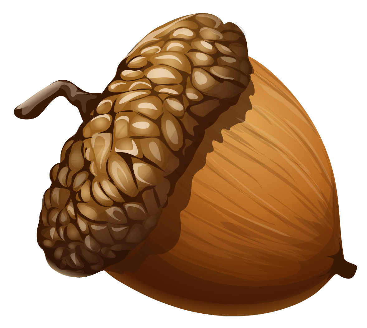 Acorn Clipart Png HD Free Download