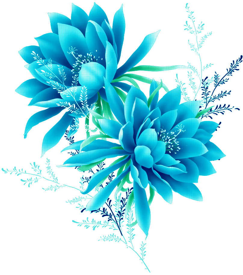 Images Abstract Flower Transparent Png HD Free Download