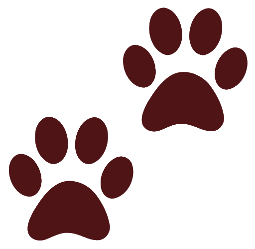 Footprint Vector Animal Png Hd Free Download