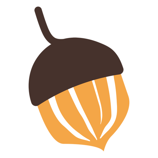 Vector Acorn Png HD Free Download