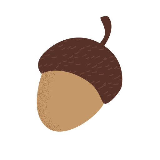 Acorn Png HD Free Download