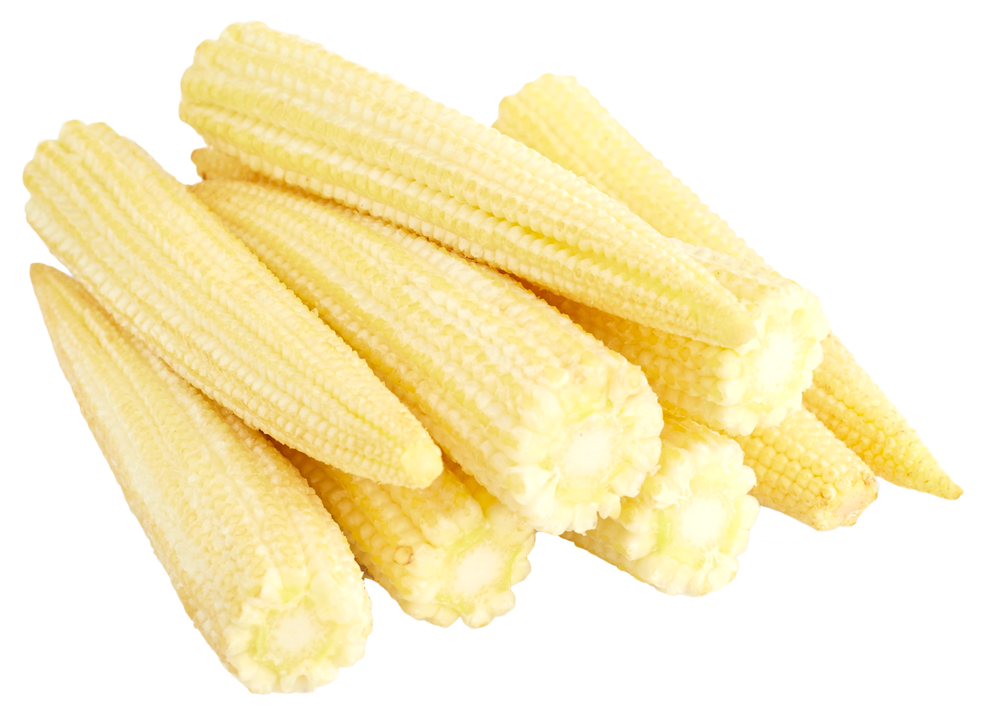 Baby Corn Dried Cobs Png HD Free Download