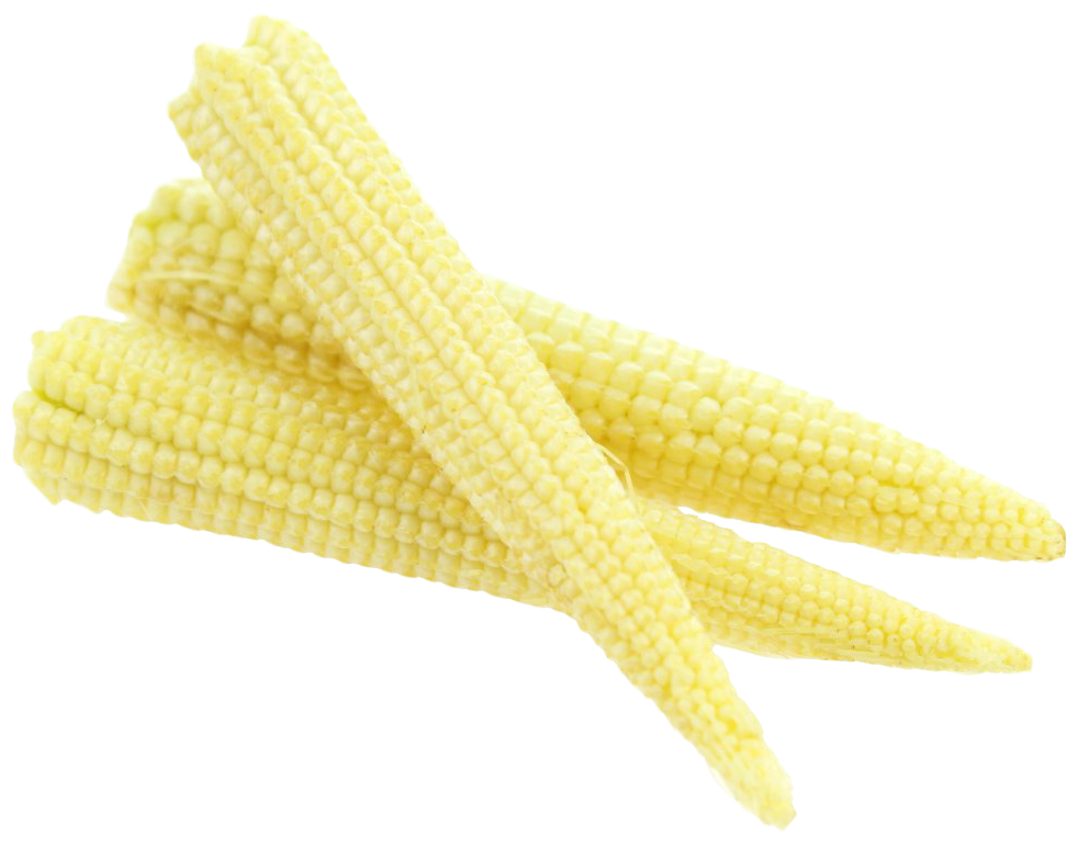 Baby Cornlets Corn Cobs Png HD Free Download