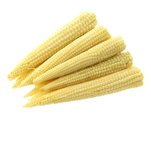 Baby Oraganic Corn Cobs Png HD Free Download