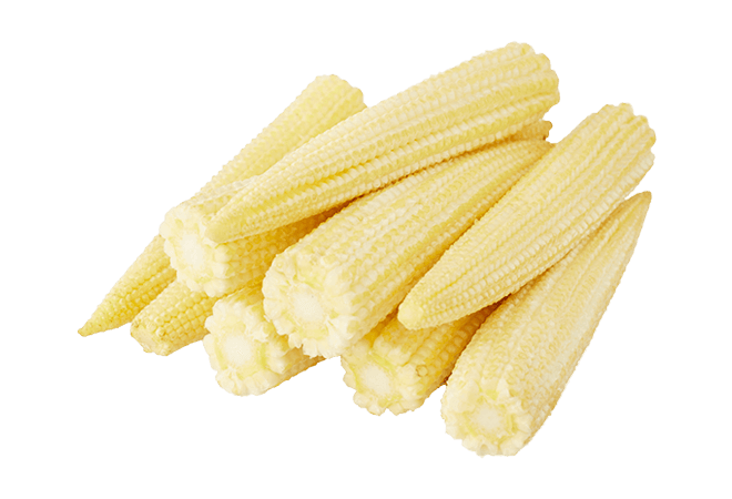 Baby Corn Mature Cobs Png HD Free Download