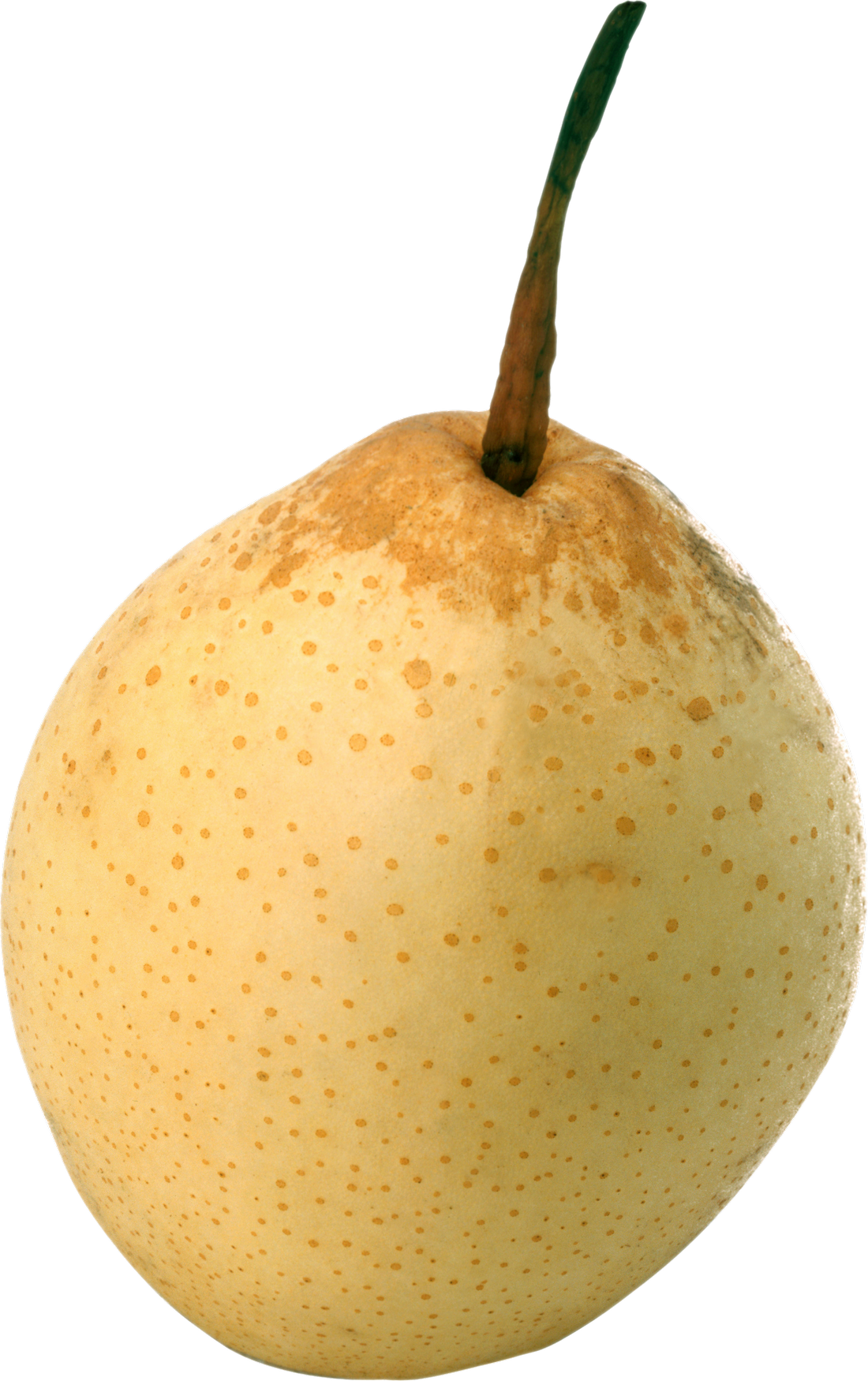 Pear Asian Png HD Free Download