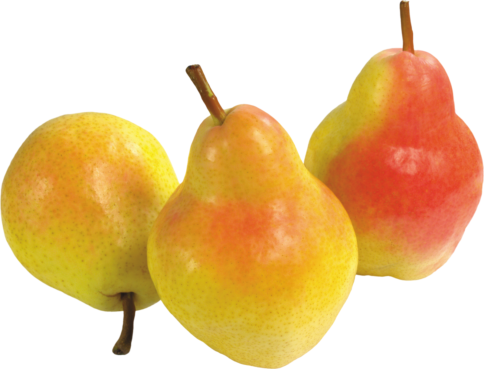 Pear Asian Transparent Png HD Free Download