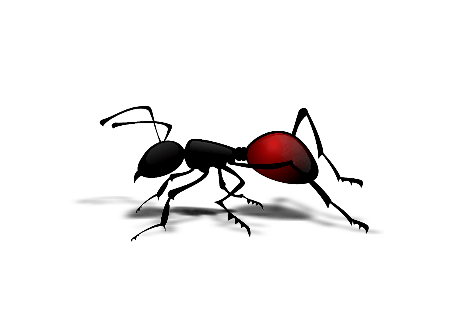 Ants Red Png HD Free Download