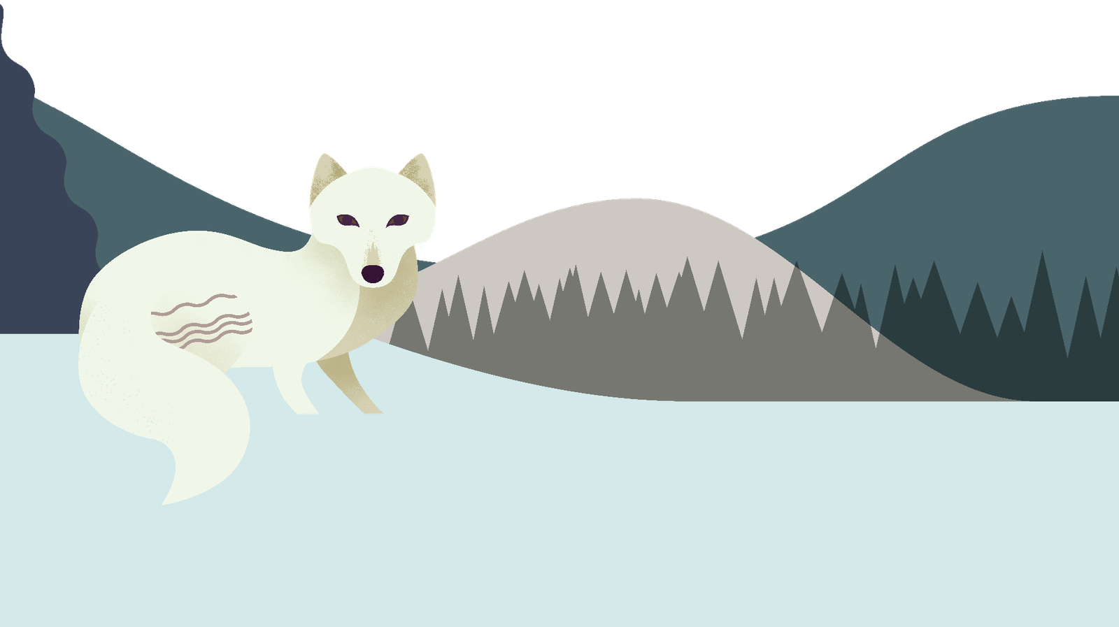 Arctic Fox Snow Png HD Free Download