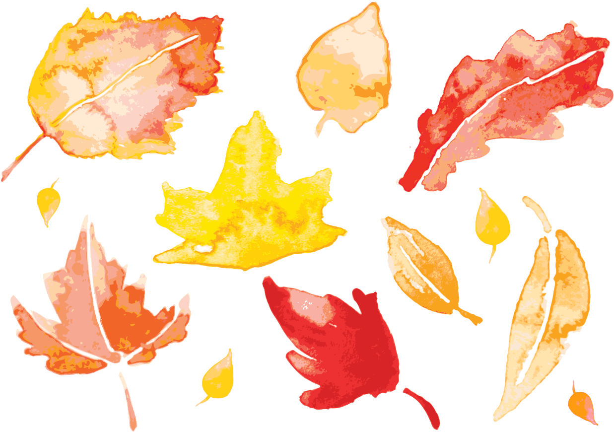 Autumn Falling Vector Leaf File Png HD Free Download