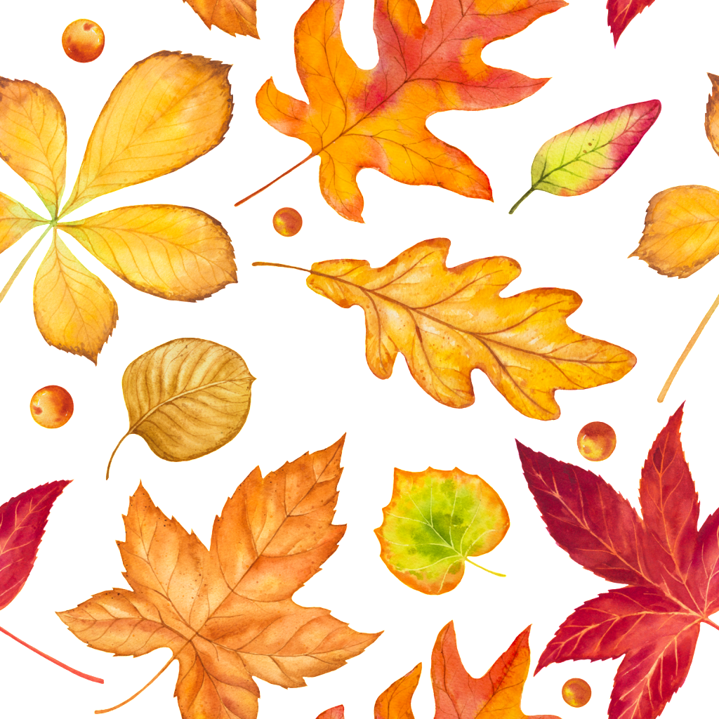 Autumn Falling Vector Leaf Png Hd Free Download