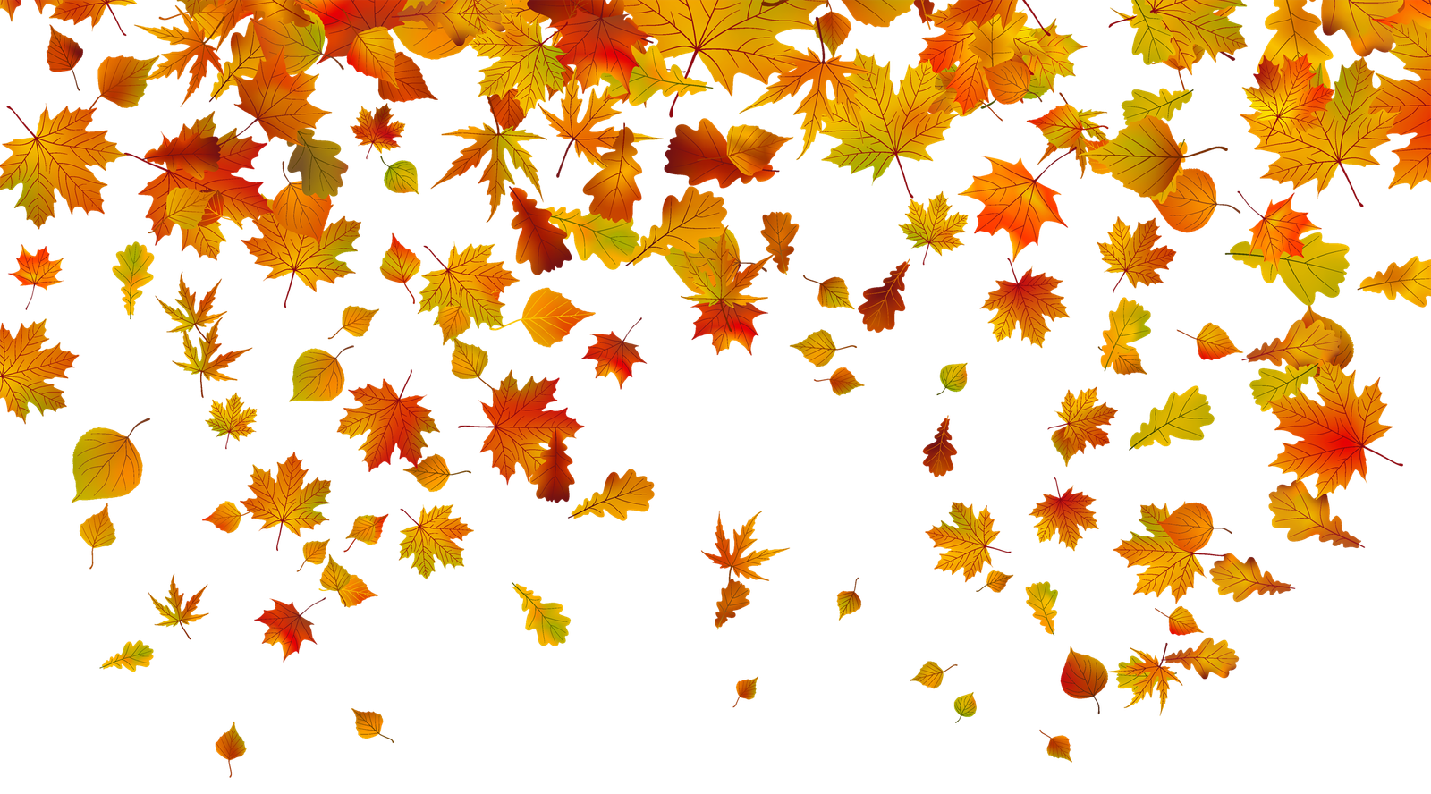 Autumn Falling Vector Leaf Png HD Free Download