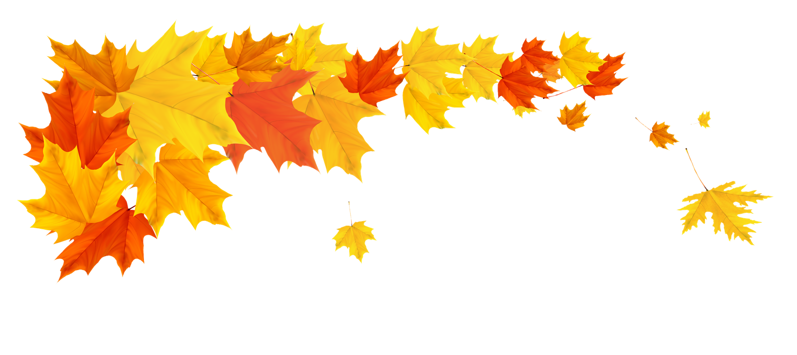 Autumn Falling Vector Leaf Png HD Free Download