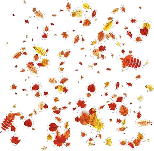 Autumn Picture Falling Vector Leaf Png HD Free Download