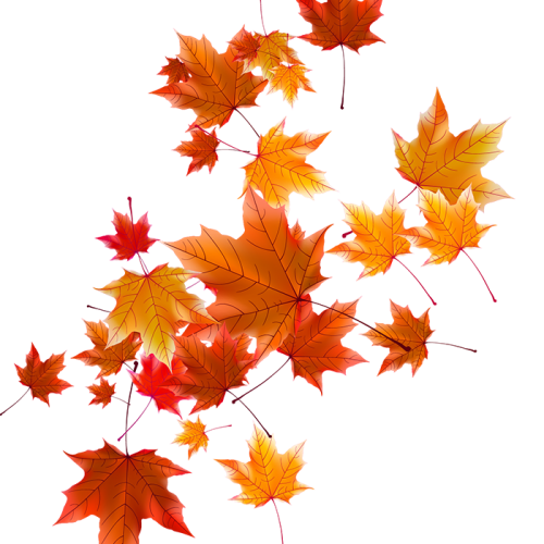 Autumn Falling Vector Leaf Png HD Free Download