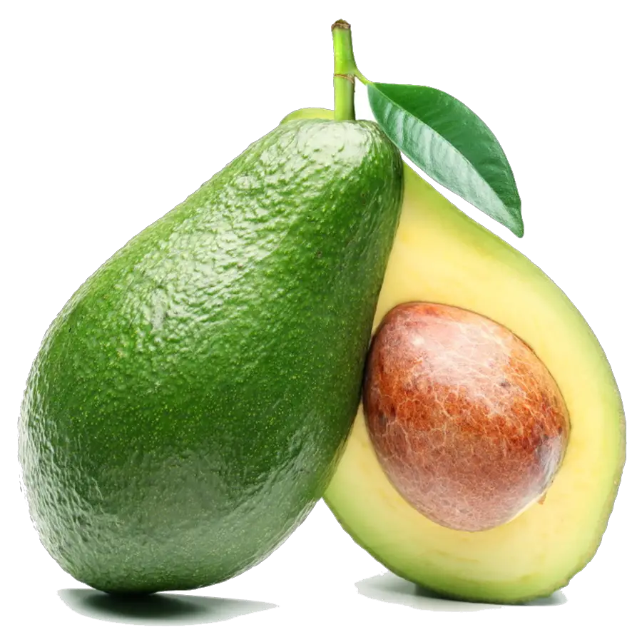 Avocado Half Png HD Free Download