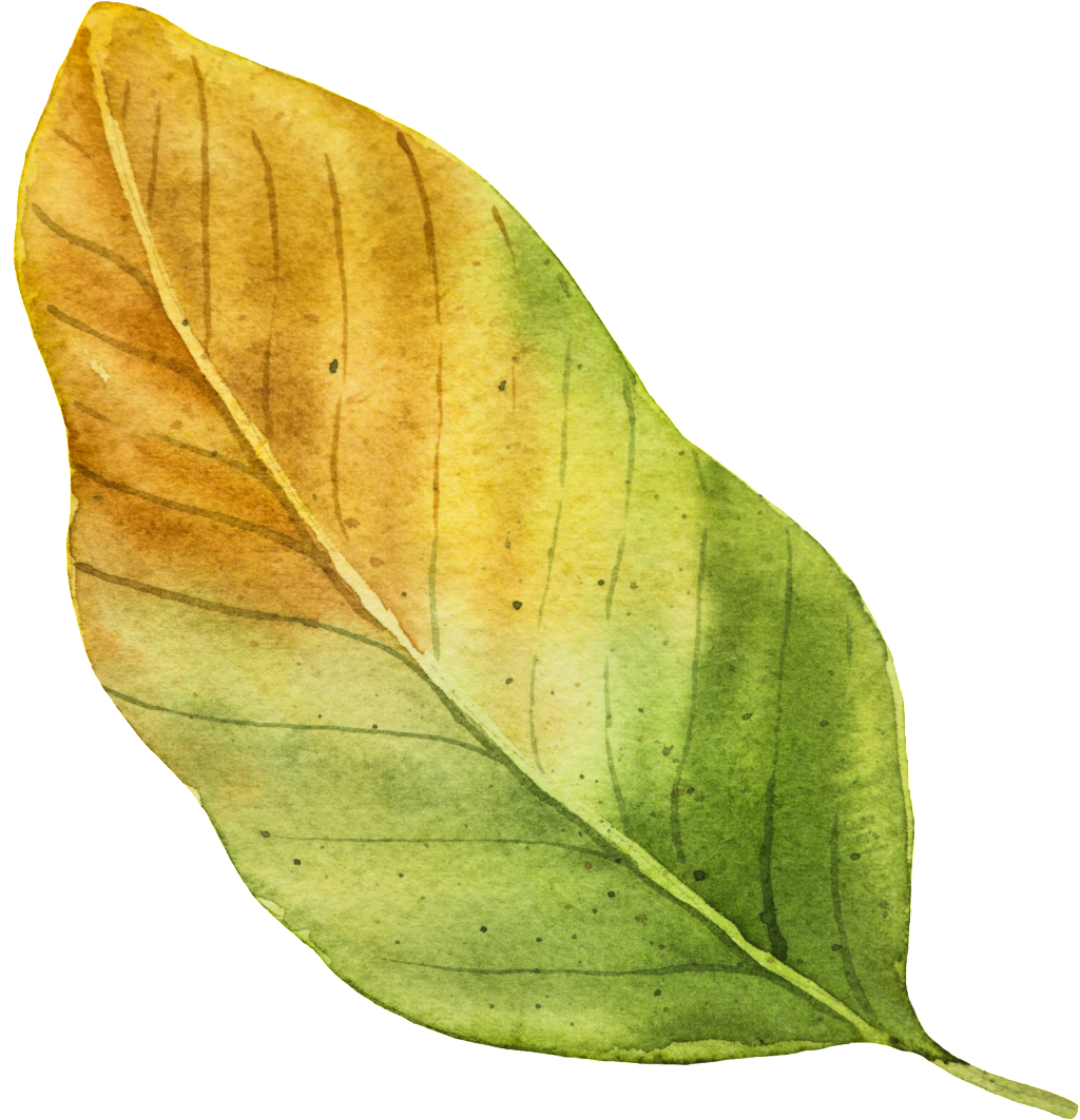 Autumn Vector Leaf Png Hd Free Download