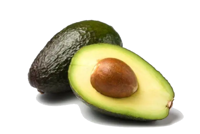 Avocado Half Png HD Free Download
