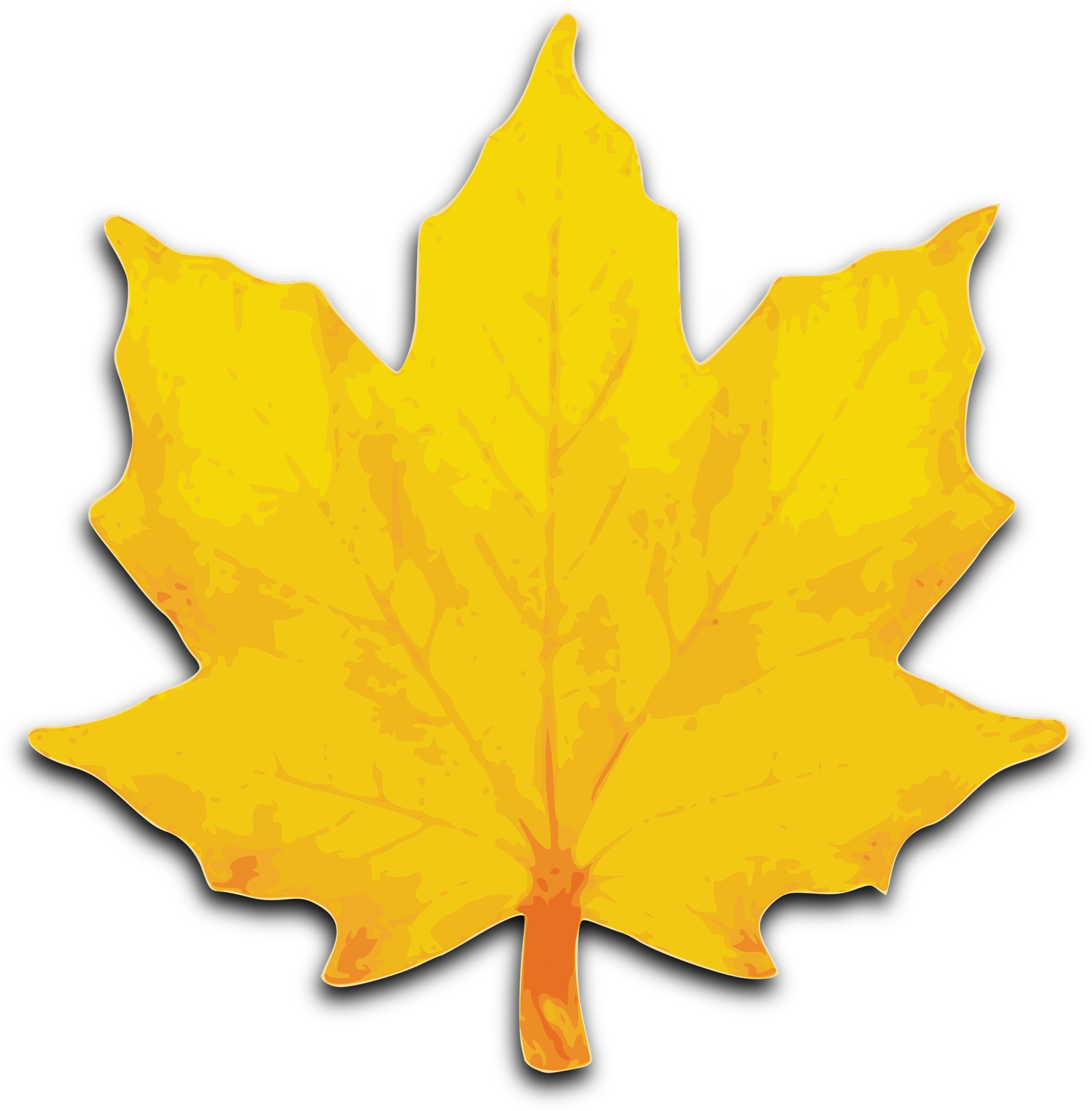 Autumn Picture Vector Leaf Png HD Free Download