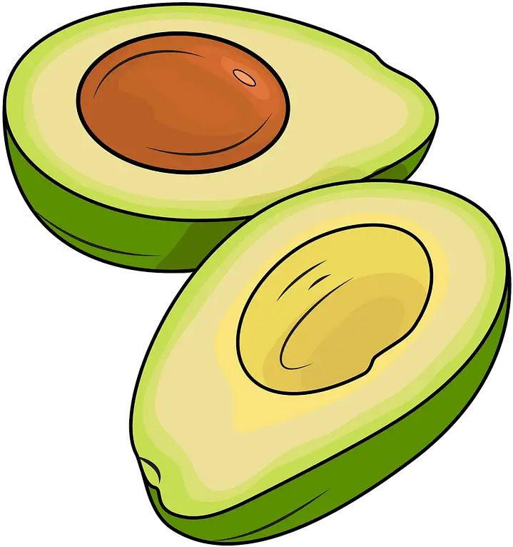 Vector Avocado Png HD Free Download