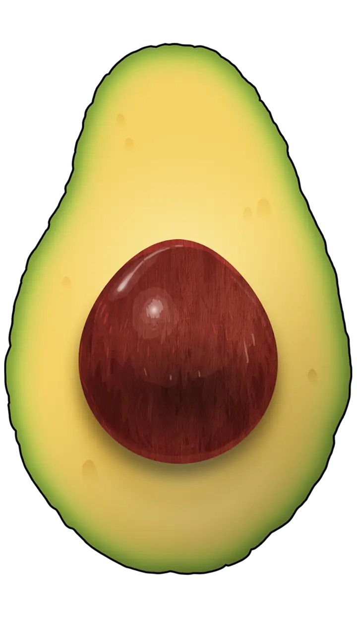 Vector Avocado Png HD Free Download