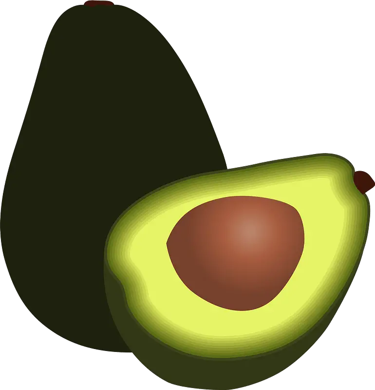 Picture Vector Avocado Png HD Free Download