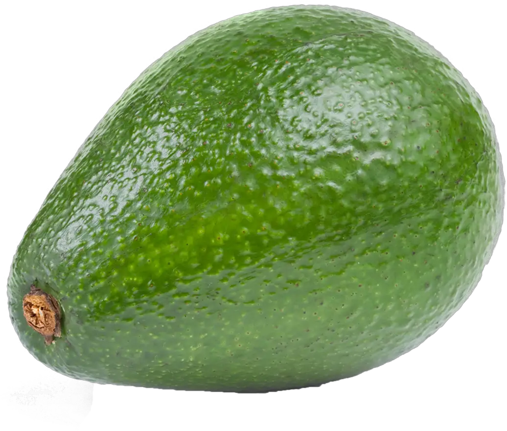 Avocado Png HD Free Download
