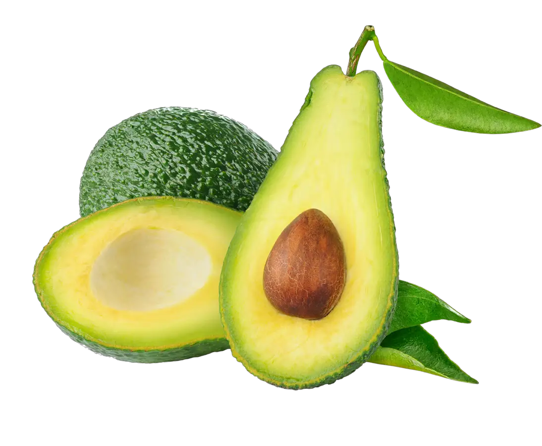 Avocado Png HD Free Download