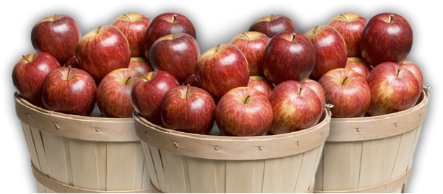 Basket Apple Png Hd Free Download